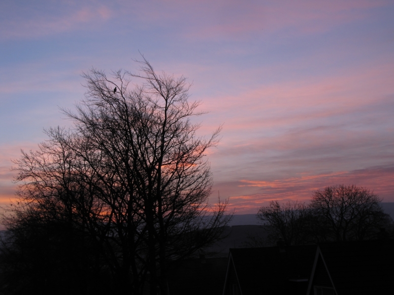 Bank Edge view 28th Feb 2014 001