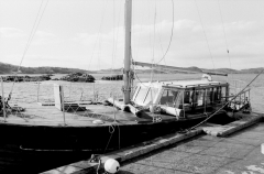 Murdocrossing468604
