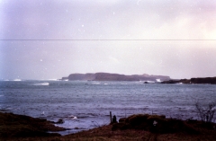 StormEigg890401