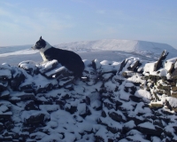 View over Pendle