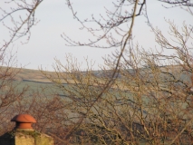 Bank Edge view 3rd March 2014 afternoon