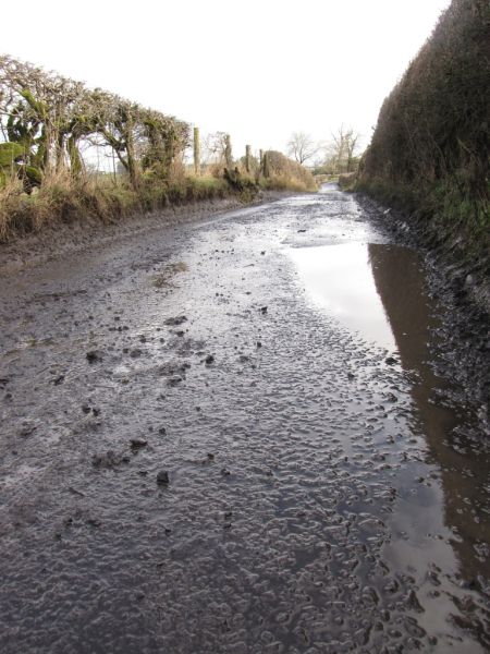 Greenberfield Lane water Feb 2014 002