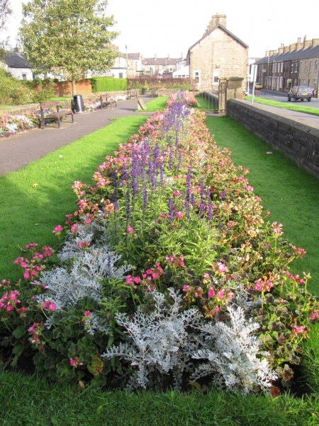 Memorial Gardens bedding