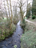 Butts Beck 090314