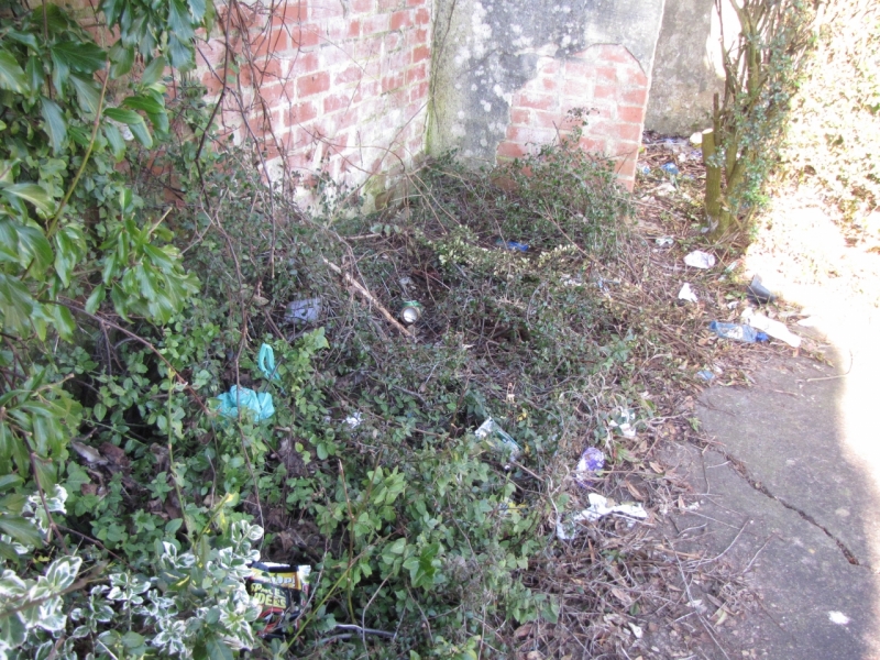 Memorial Gardens rubbish