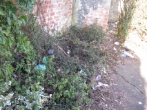Memorial Gardens rubbish
