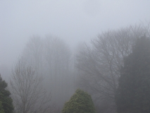 Bank edge view 13 Mar 2014