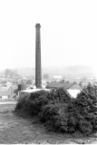 CrowNchimney7854