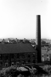 CalfHallstack825001