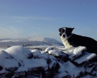 View over Pendle 2