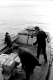 MuckFlyBoat698603
