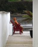 Flowerpot man takes a rest