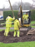 Mem Gds Ginko planting 28th Mar 2014 003