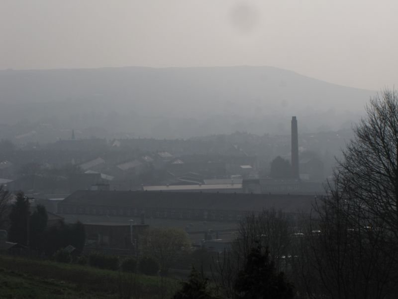 Bank edge view 29th Mar 2014