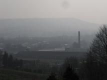 Bank edge view 29th Mar 2014