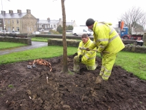 Mem Gds Ginko planting 28th Mar 2014 005