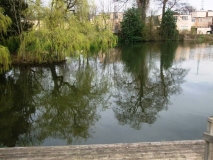 Bletchley Lake 1