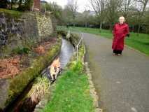 C ass paddling 030414