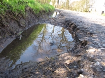Greenberfield Lane 1st April 2014 002