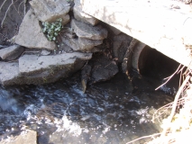 Greenberfield Lane culvert 2014