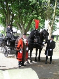 Allan & horses