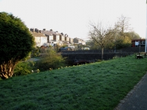 Valley Dardens 01 15042014