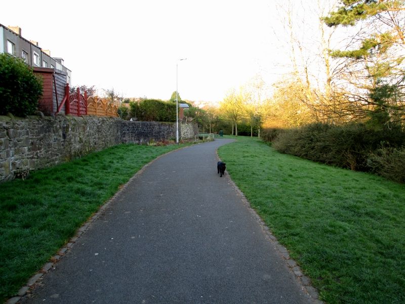 Valley Gardens 02 15042014