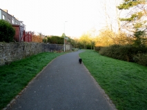 Valley Gardens 02 15042014