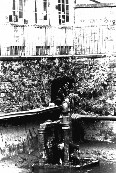 SGindam at Bancroft