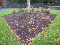 Memorial Gardens Nov 13 003