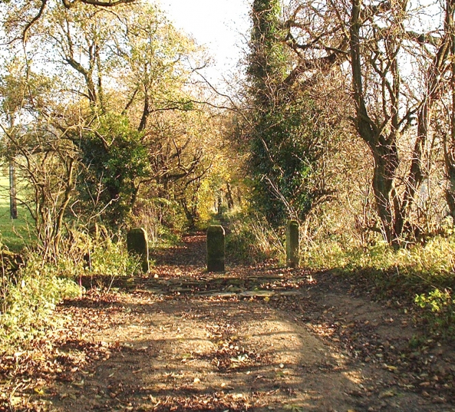 MeerstonesCrossLane