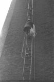 Swabsflue762088