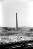 Swabsflue76209918