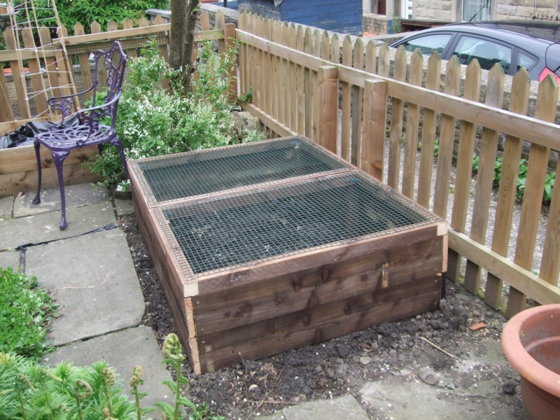 Raised Bed 1