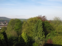 Bank Edge view 5th May 001