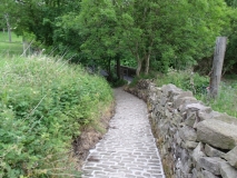 ginnel 2011