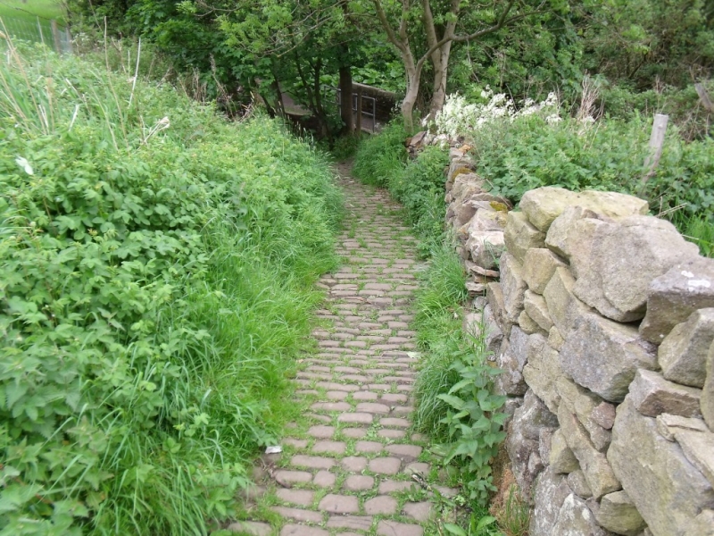 Ginnel 10-06-10 013