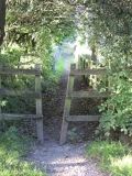 Ginnel Gather 110