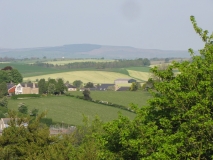 Bank Edge view 18th May 2014 001