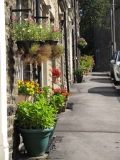 ginnel gather 007