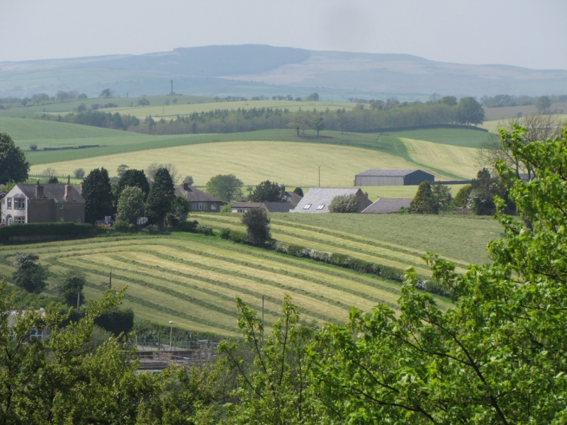 Bank Edge view 18th May 2014 pm 001