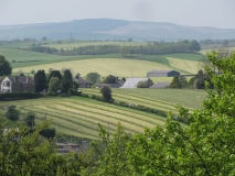Bank Edge view 18th May 2014 pm 001