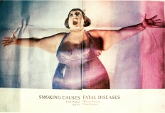 SilkCutFatLadyadvert