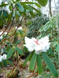 LostGarden03