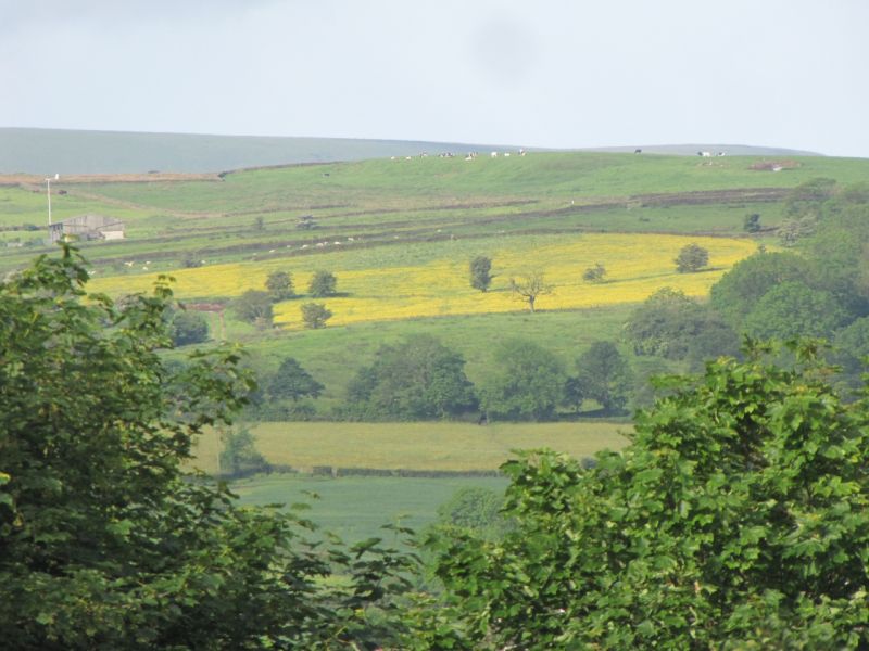 Bank Edge view 8th June 2014 001