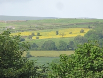 Bank Edge view 8th June 2014 001