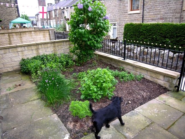 FrontgardenJune10