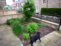 FrontgardenJune10