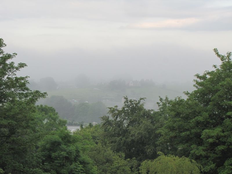 Bank Edge view 14th June 2014 001