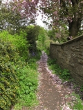 ginnels 5th May 003
